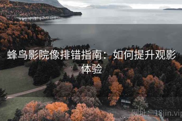 蜂鸟影院像排错指南：如何提升观影体验