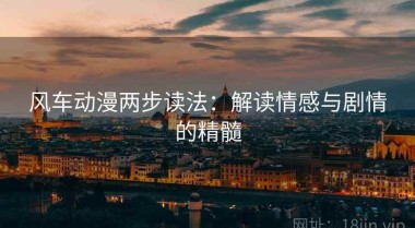 风车动漫两步读法：解读情感与剧情的精髓