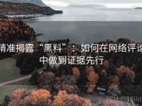 精准揭露“黑料”：如何在网络评论中做到证据先行