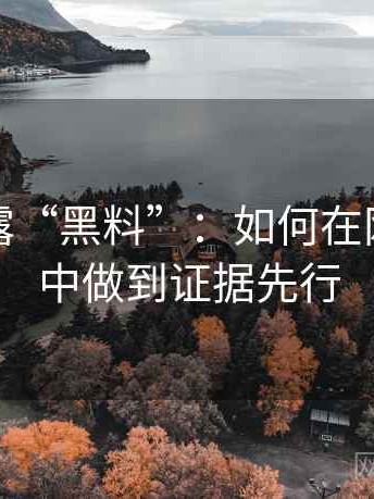 精准揭露“黑料”：如何在网络评论中做到证据先行
