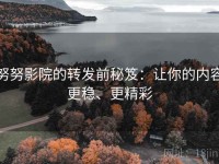 努努影院的转发前秘笈：让你的内容更稳、更精彩