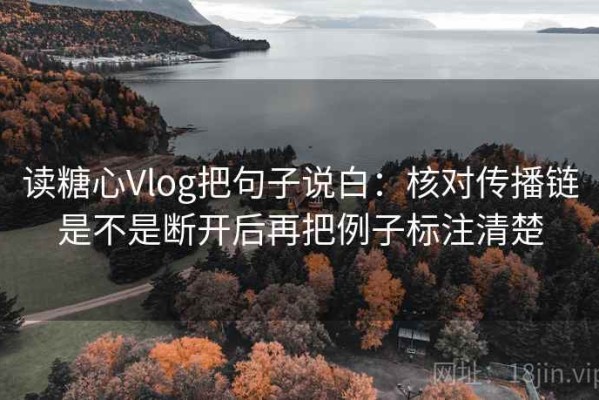 读糖心Vlog把句子说白：核对传播链是不是断开后再把例子标注清楚