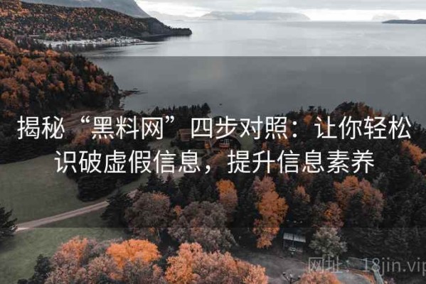 揭秘“黑料网”四步对照：让你轻松识破虚假信息，提升信息素养