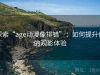 探索“age动漫像排错”：如何提升你的观影体验