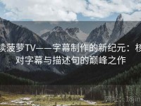 读菠萝TV——字幕制作的新纪元：核对字幕与描述句的巅峰之作