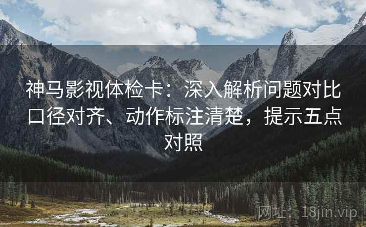 神马影视体检卡：深入解析问题对比口径对齐、动作标注清楚，提示五点对照