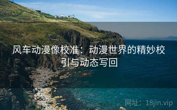 风车动漫像校准：动漫世界的精妙校引与动态写回